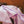 Load image into Gallery viewer, Cherry blossom in Lavendar